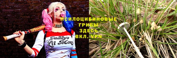 хмурый Алексеевка