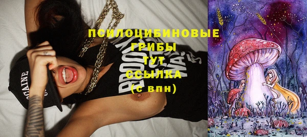 хмурый Алексеевка