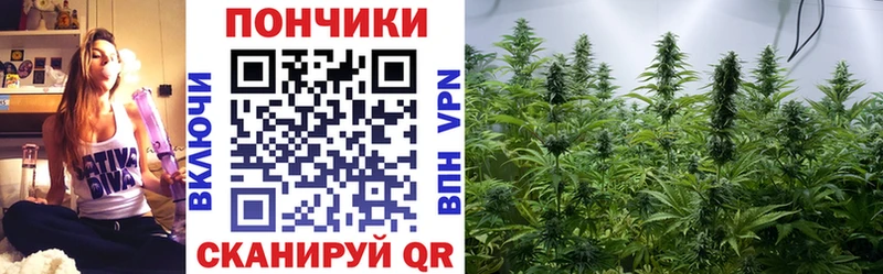 Каннабис OG Kush  blacksprut ONION  Обоянь  магазин  наркотиков 
